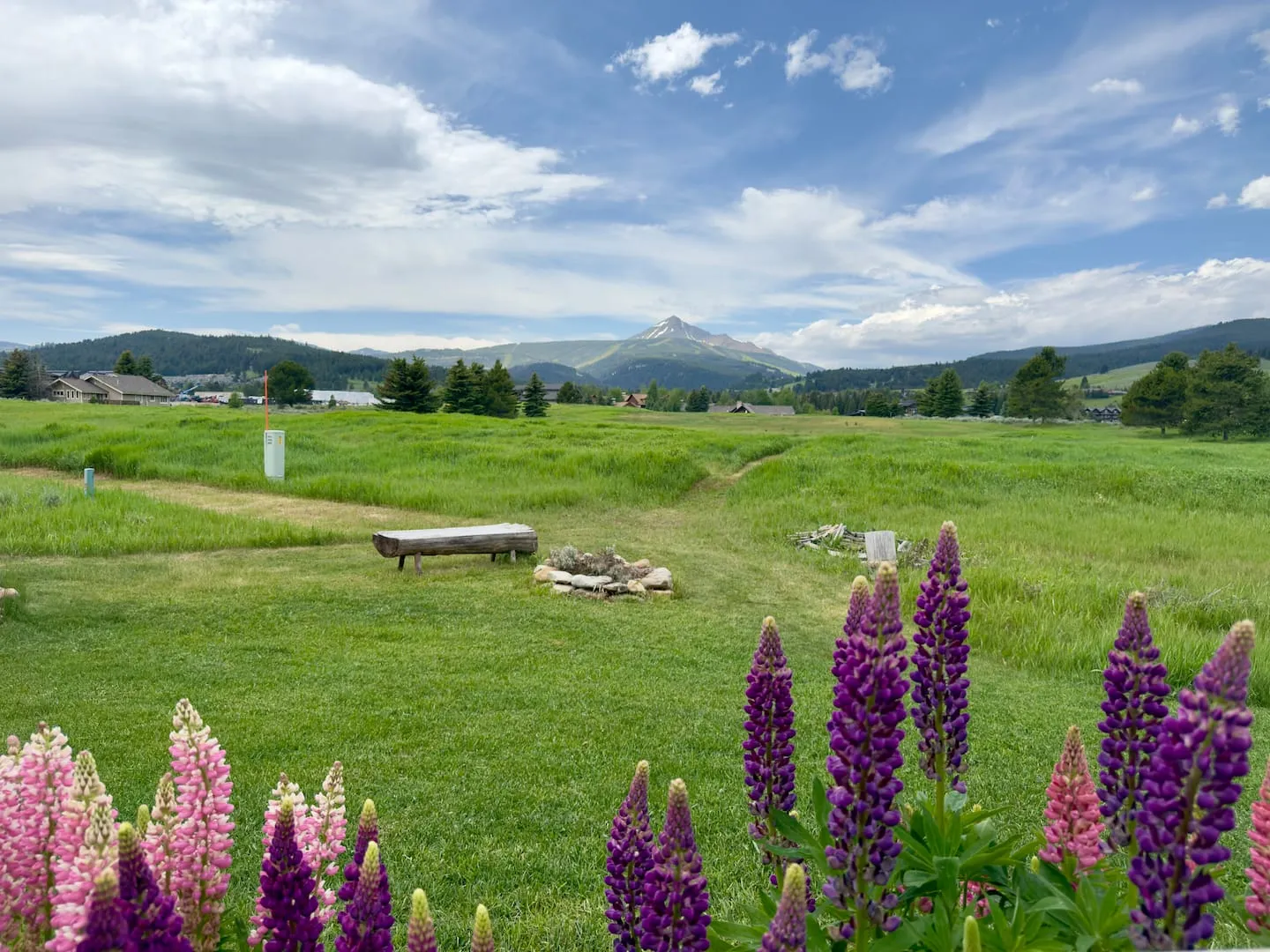 Yellowtail, Big Sky, Montana: photo 26 of 31