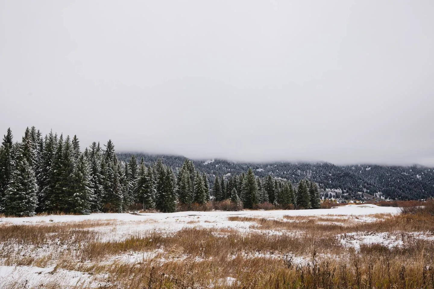 Glacier #168, Big Sky, Montana: photo 33 of 41